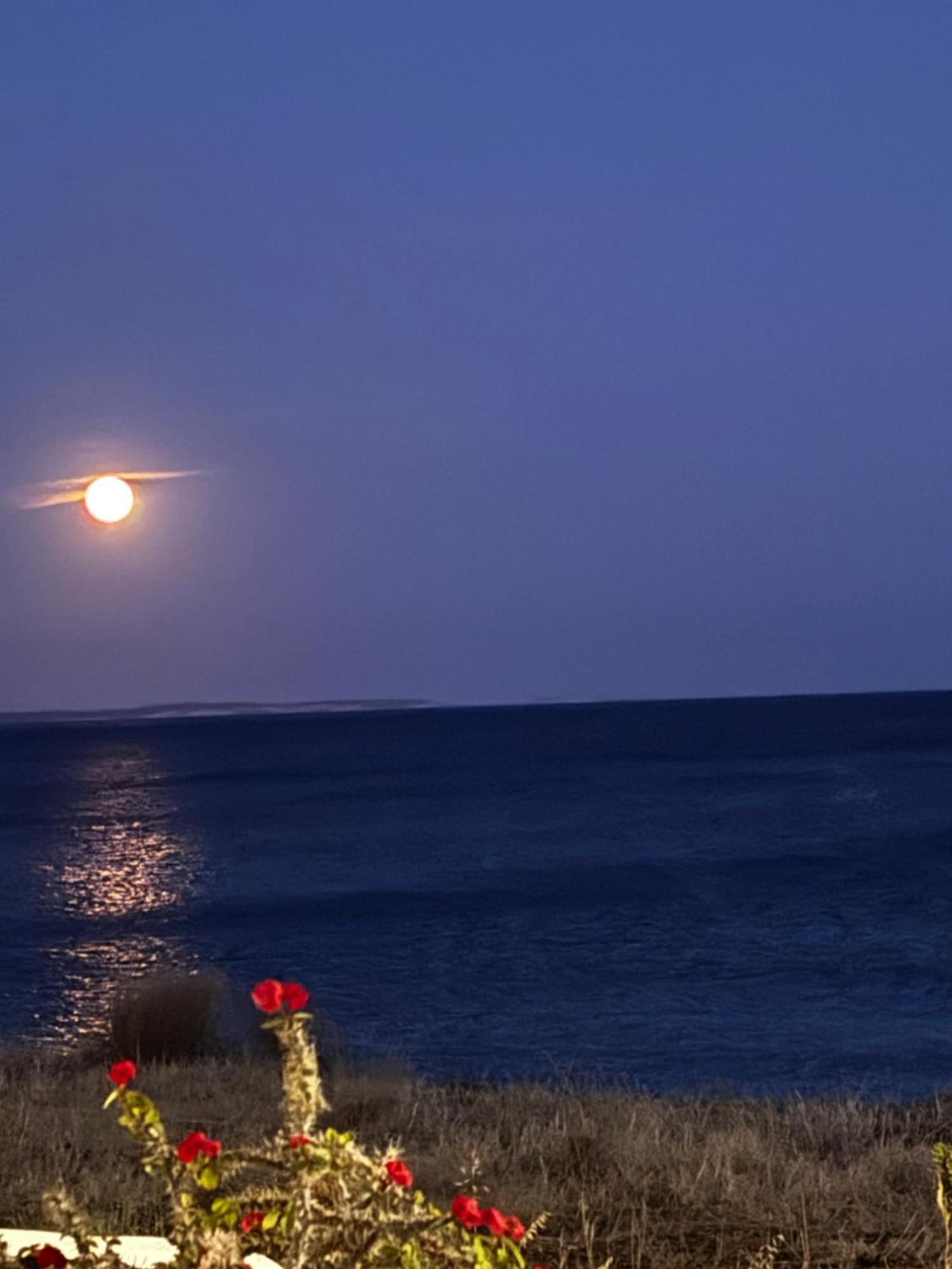 Blue Sea Villa & Apartments Makrýgialos Dış mekan fotoğraf